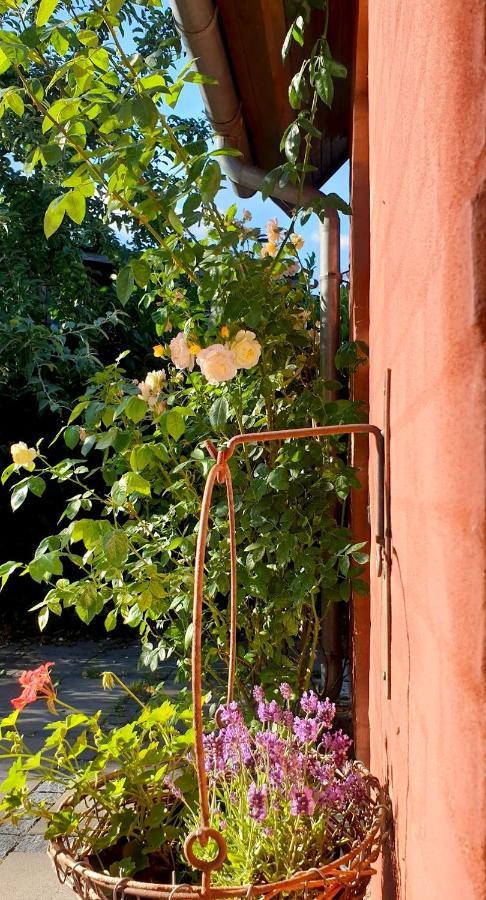 Aparthotel Farmors Hus Rude  Exterior foto